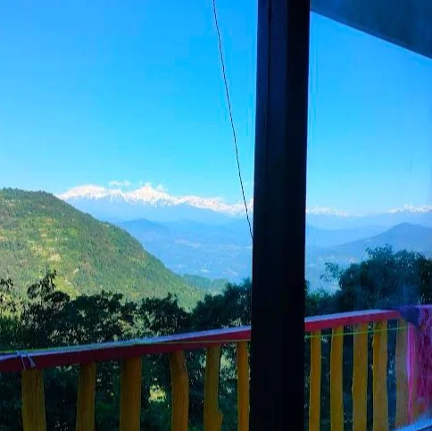 Scenic view from Samsung Homestay Kolakham surrounded by pine trees and mountains